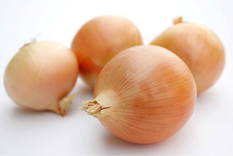 onion_yellow_medium_size_sale
