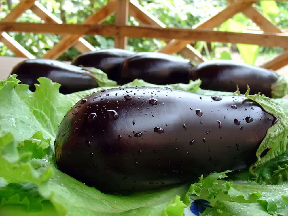 tarta de berenjenas paso a paso
