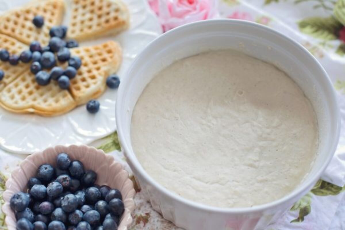 Masa madre: qué es y cómo hacer masa madre