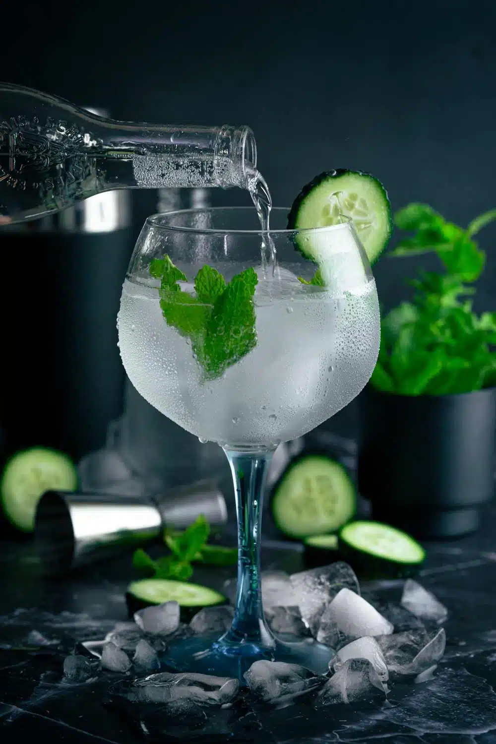 Cómo preparar el Gin Tonic Perfecto - Paulina Cocina