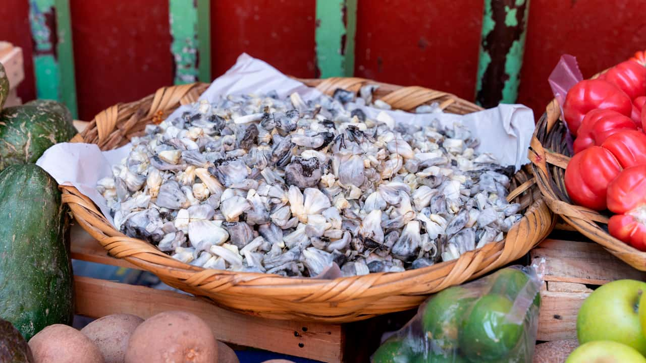 5 recetas con Huitlacoche - Paulina Cocina