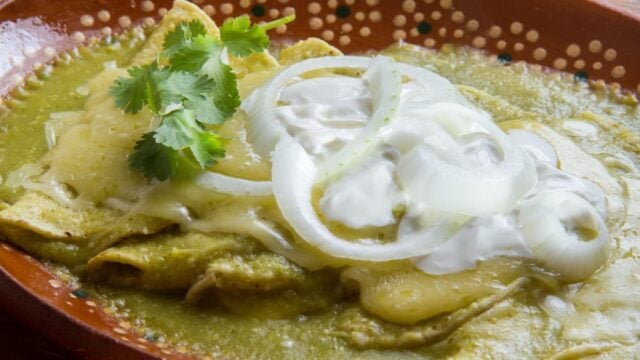 Green enchiladas, the perfect recipe to savor the Mexican tradition green chicken enchiladas
