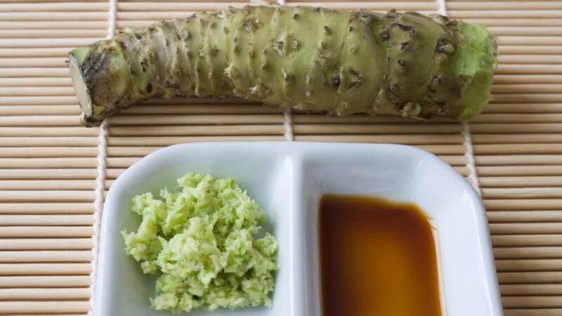 todo sobre el wasabi