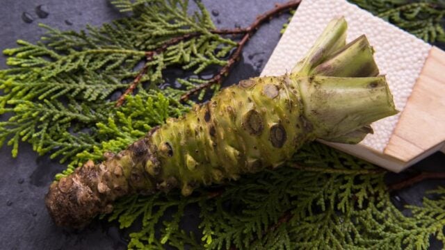 Un toque de wasabi puede cambiar todo. Descubre el poder de esta raíz japonesa, tan audaz como exquisita.