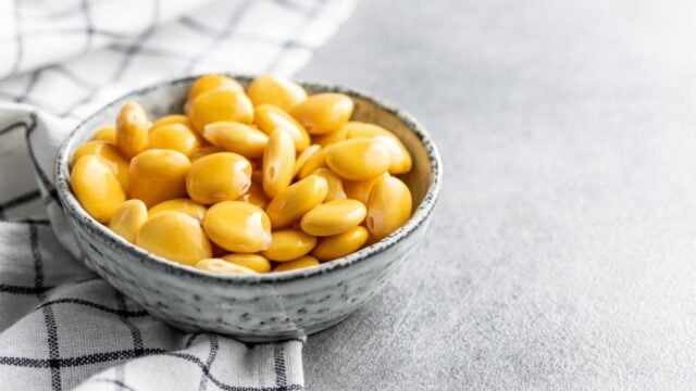 About lupins and their wonders: Everything you need to know recipes with lupins