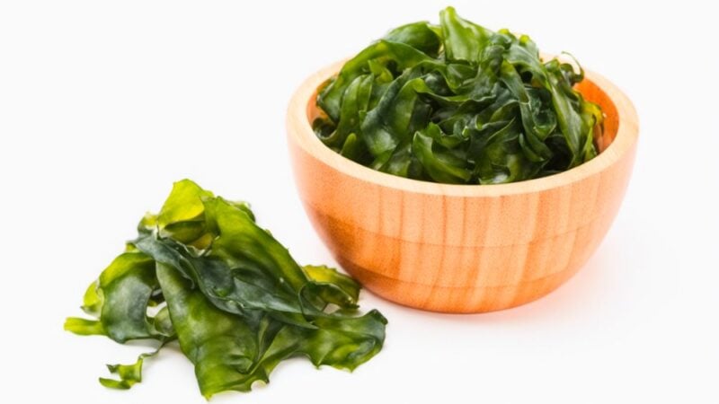 Un alga marina que no te podés perder: el wakame