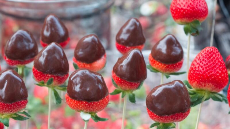 easy recipe for strawberries with chocolate