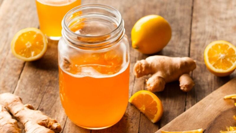 receta fácil de kombucha