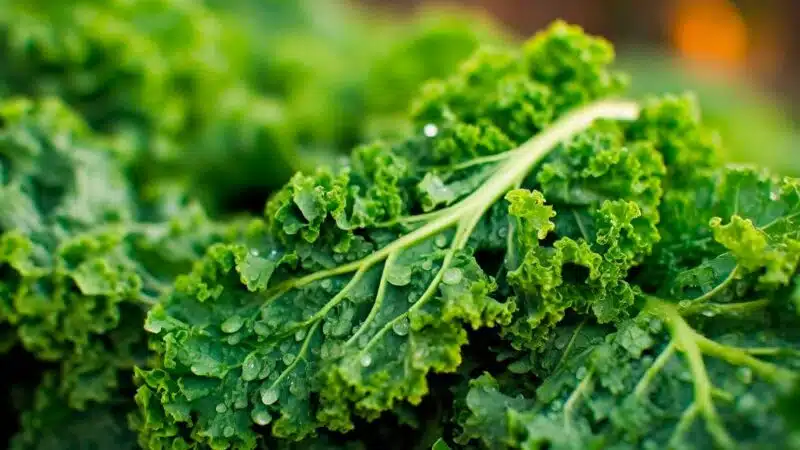 recetas con Kale