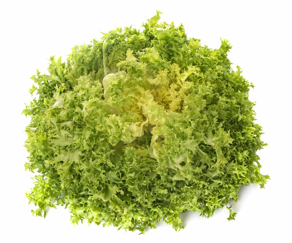 ensalada de escarola