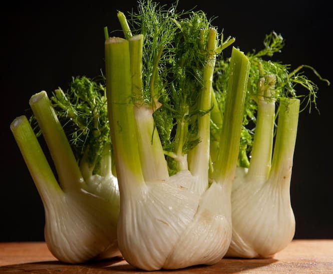 recetas con hinojo