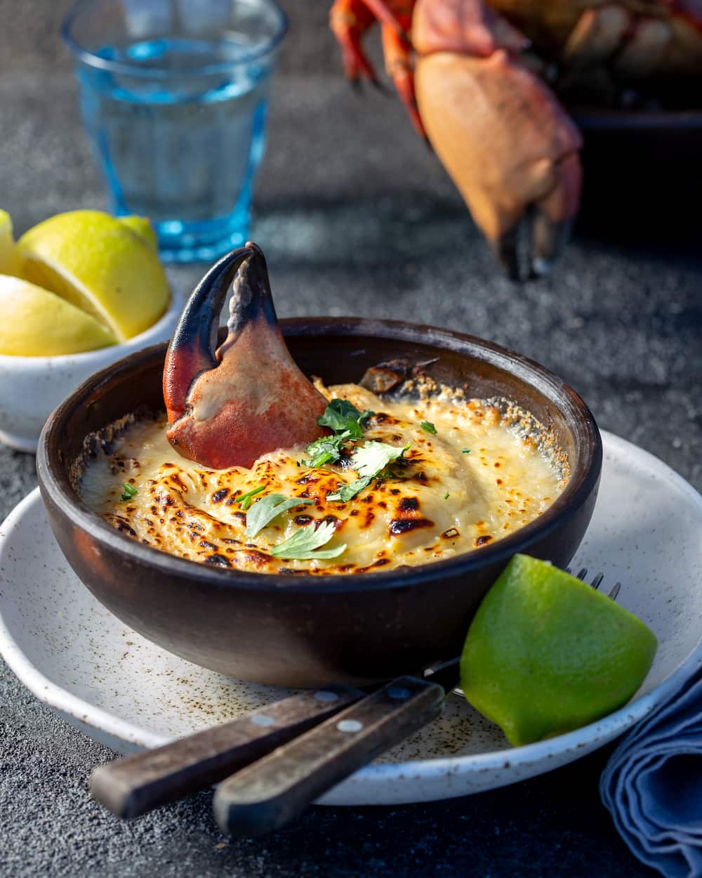 cook with centolla